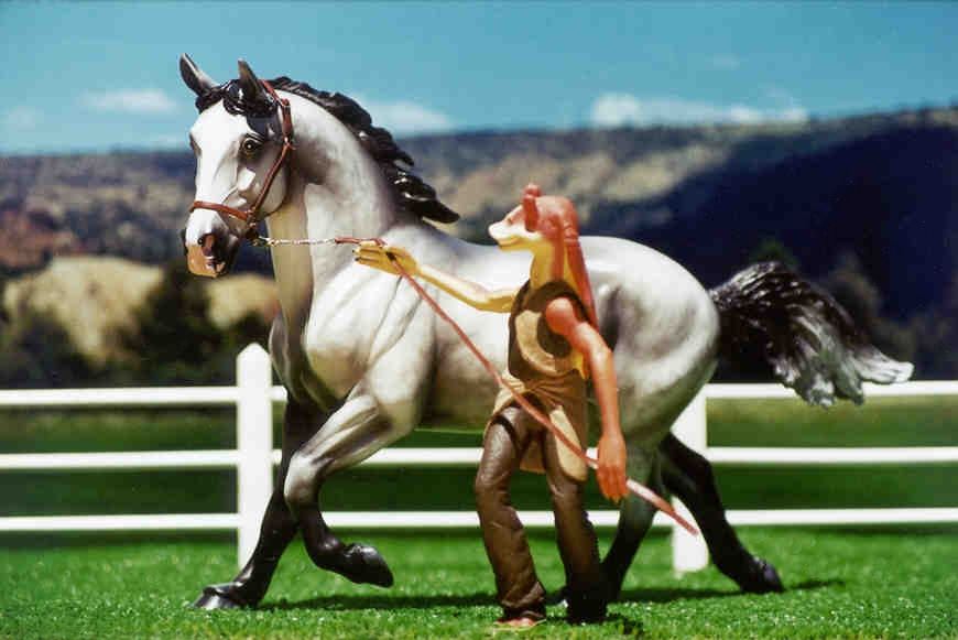 breyer model horse custom