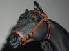 model horse tack pix